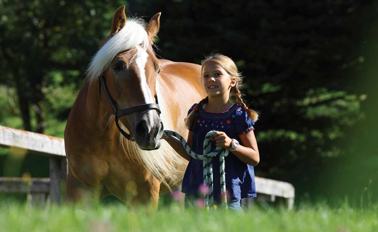 Bambina porta a spasso un cavallo
