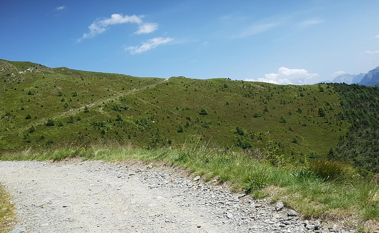 Wanderweg im Grünen mit Bergpanorama