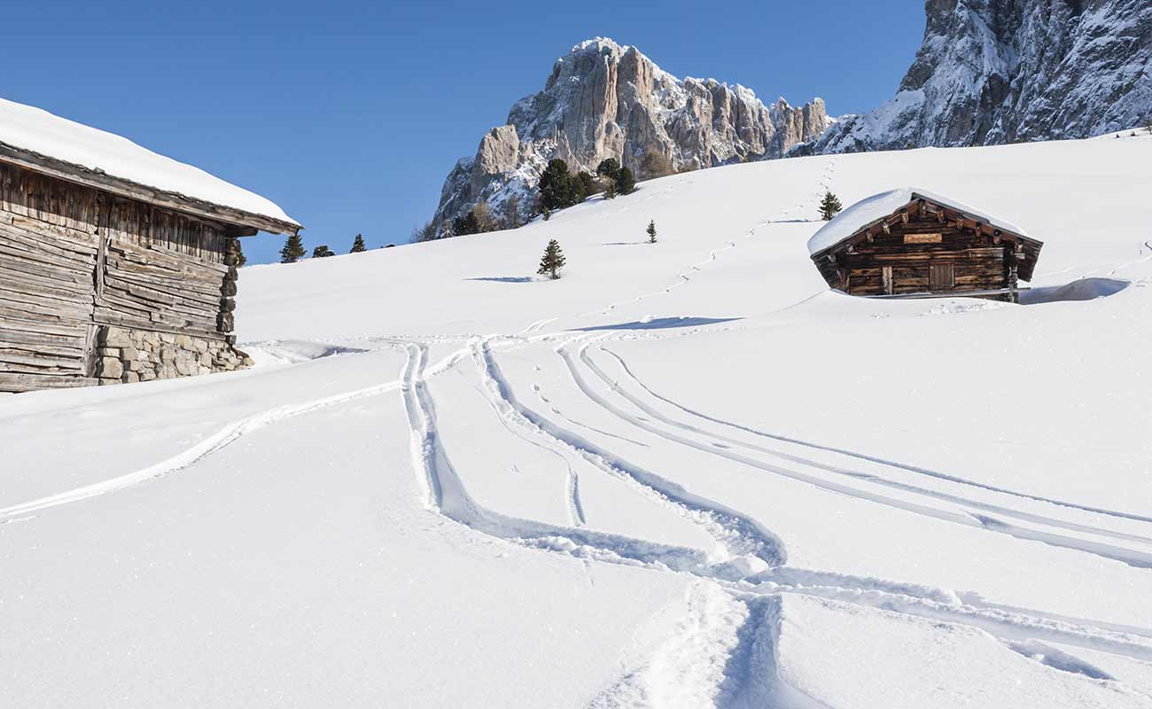A snowy landscape with traces of skiers